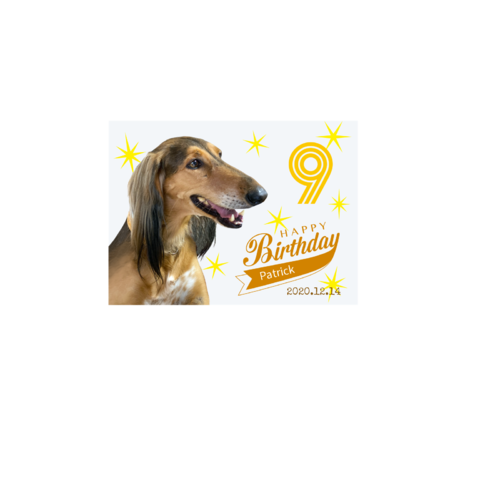 愛犬のバースデーデザインのオリジナルブランケット