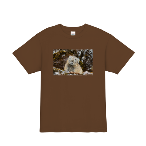 小動物のオリジナルTシャツデザイン