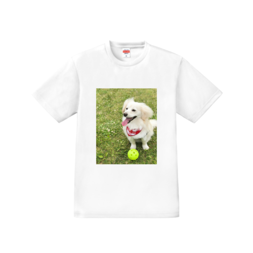 かわいい犬の写真のオリジナルTシャツデザイン