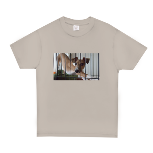 小屋から鼻を出す犬が可愛いのオリジナルTシャツデザイン