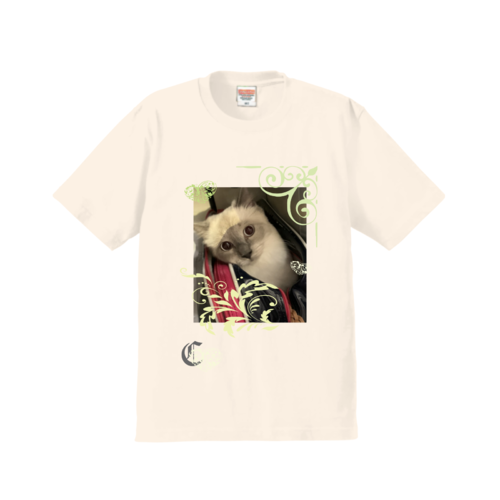 まんまるな目のバックイン猫さんのオリジナルTシャツデザイン