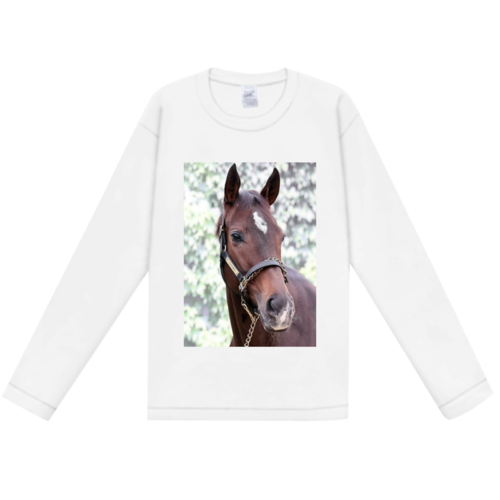 馬の写真をプリントしたオリジナルTシャツ